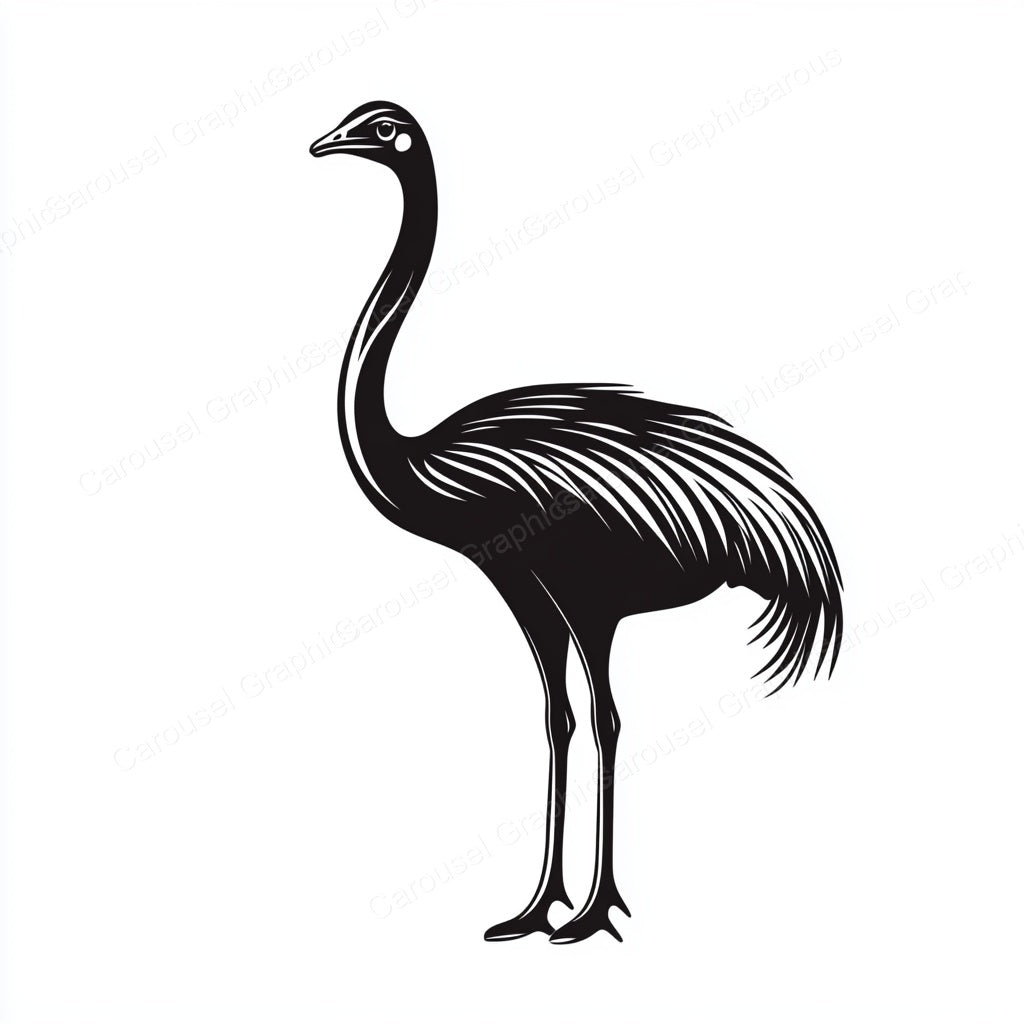 Ostrich Vector Graphic preview