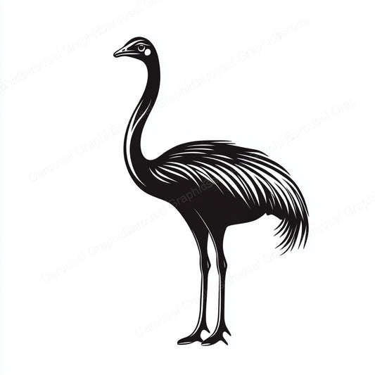 Ostrich Vector Graphic preview