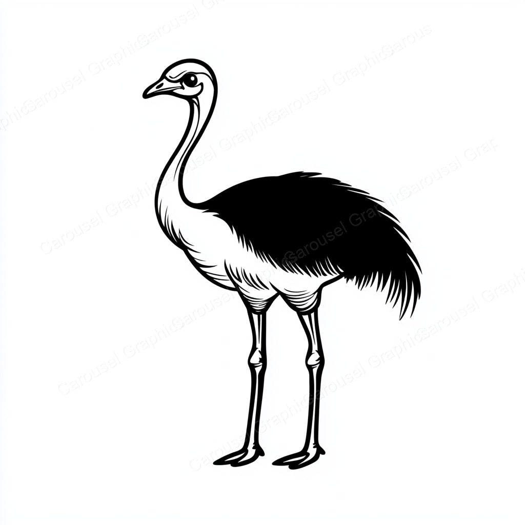 Ostrich Vector Graphic preview