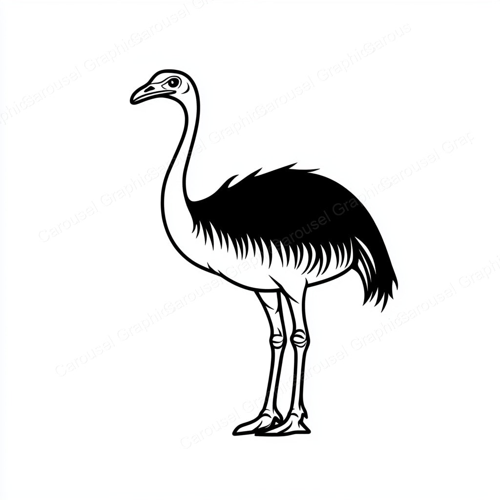 Ostrich Vector Graphic preview