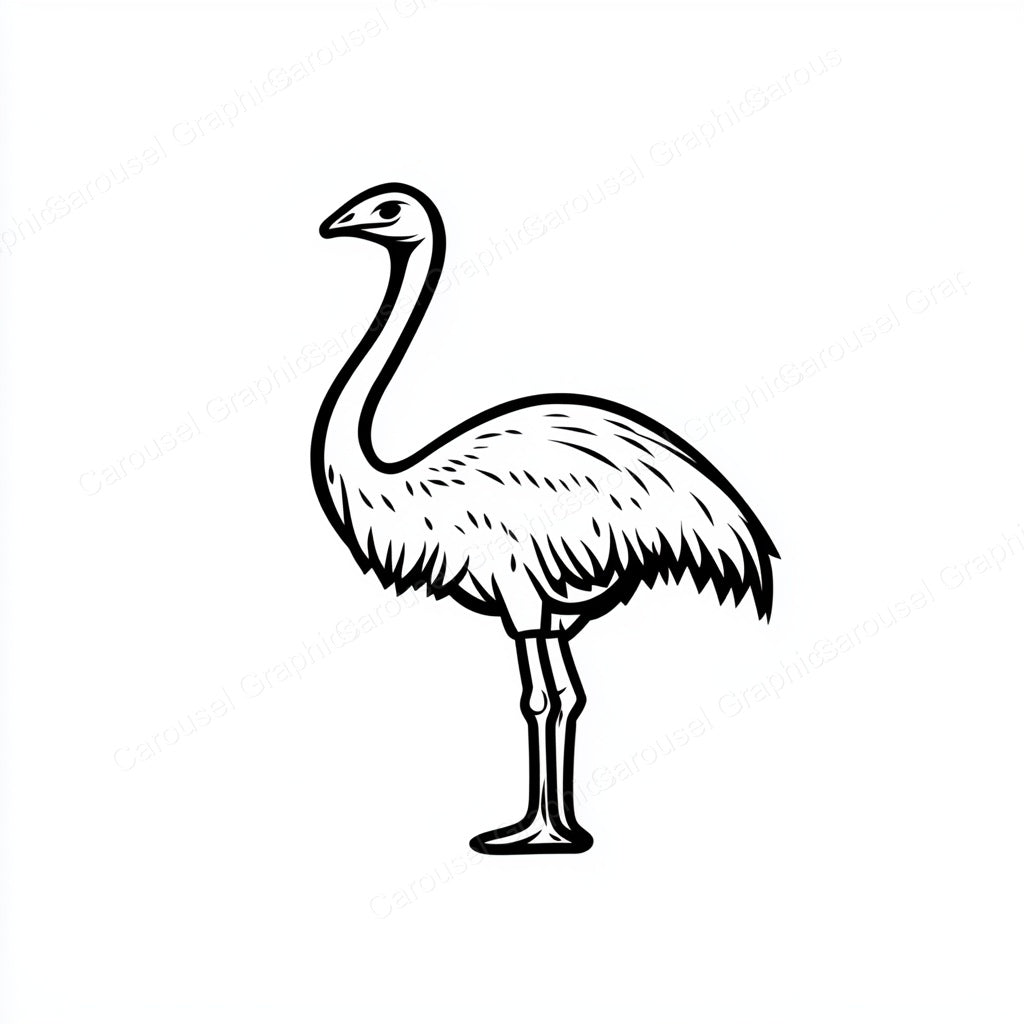 Ostrich Vector Graphic preview