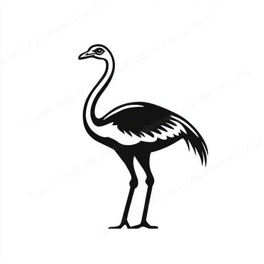 Ostrich Vector Graphic preview