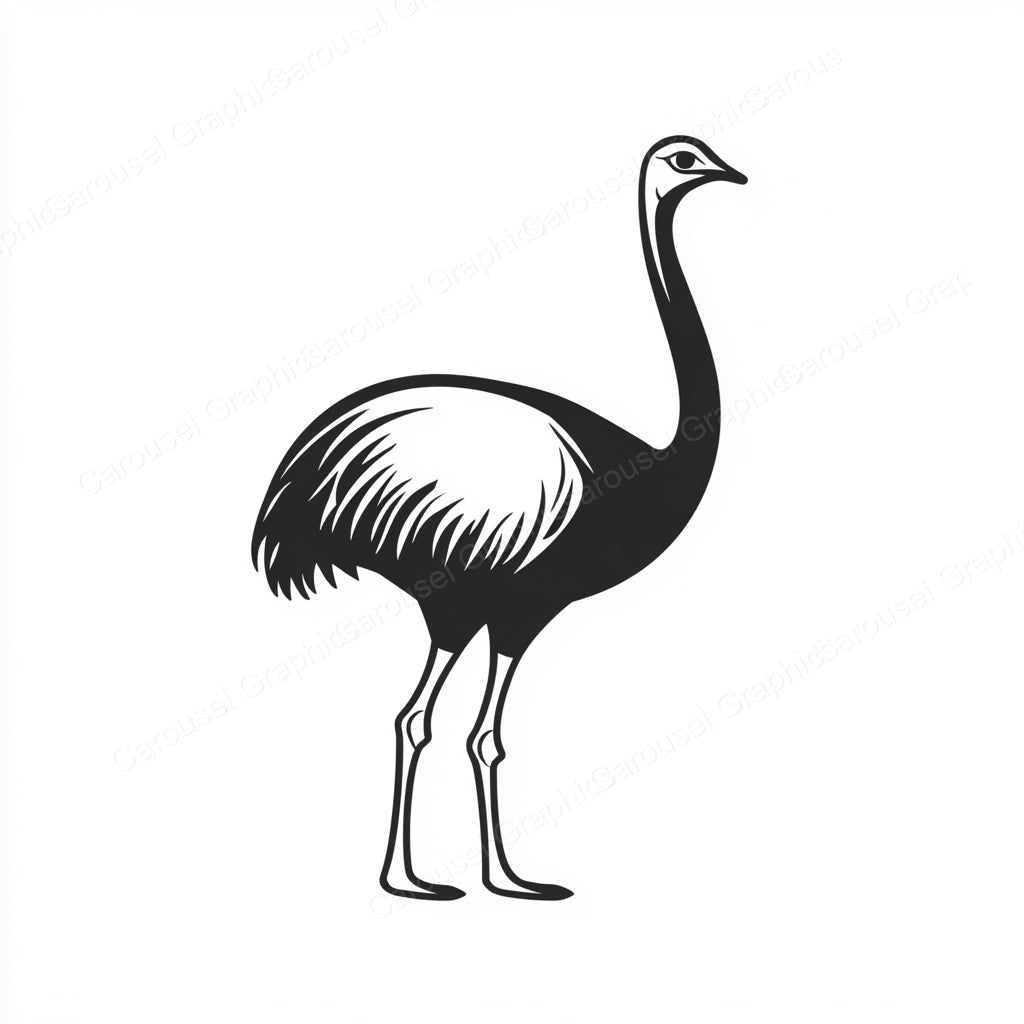 Ostrich Vector Graphic preview