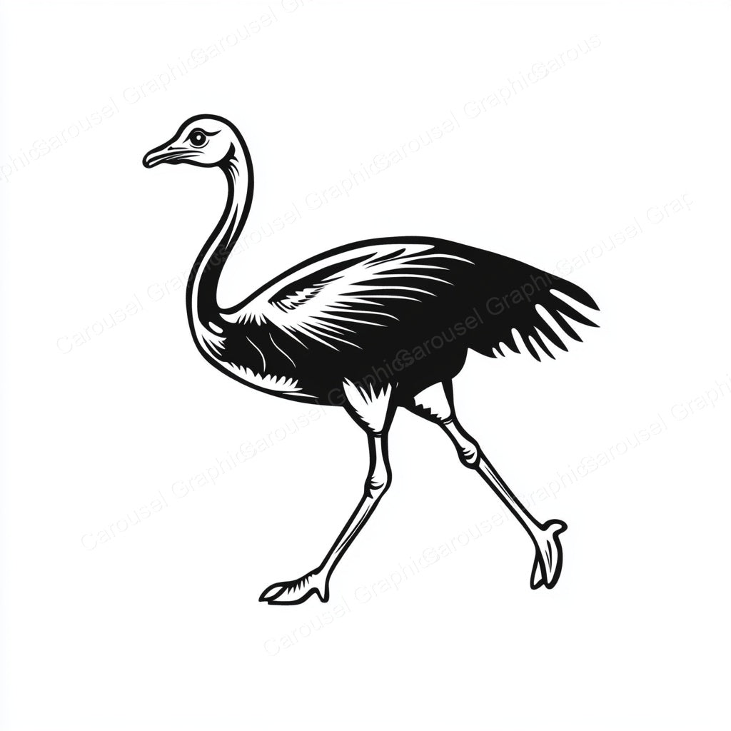 Ostrich Vector Graphic preview