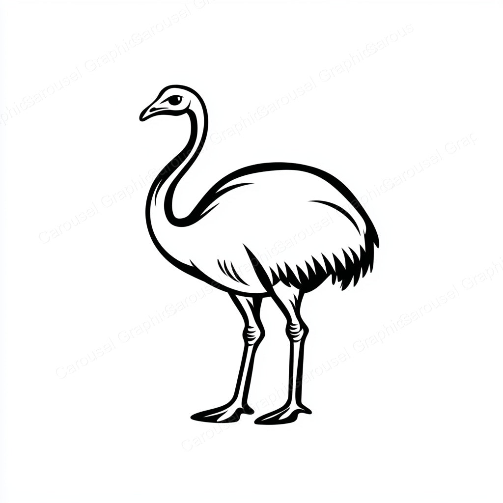 Ostrich Vector Graphic preview