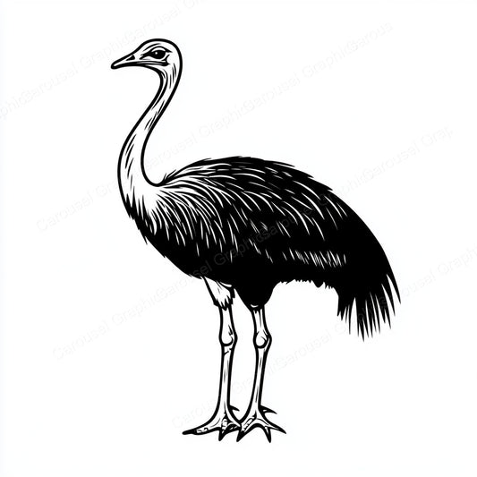 Ostrich Vector Graphic preview