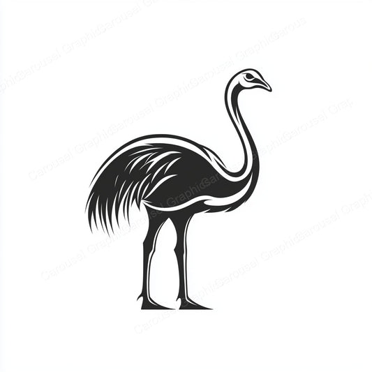 Ostrich Vector Graphic preview