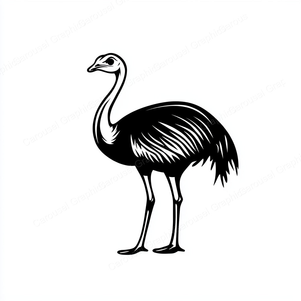 Ostrich Vector Graphic preview