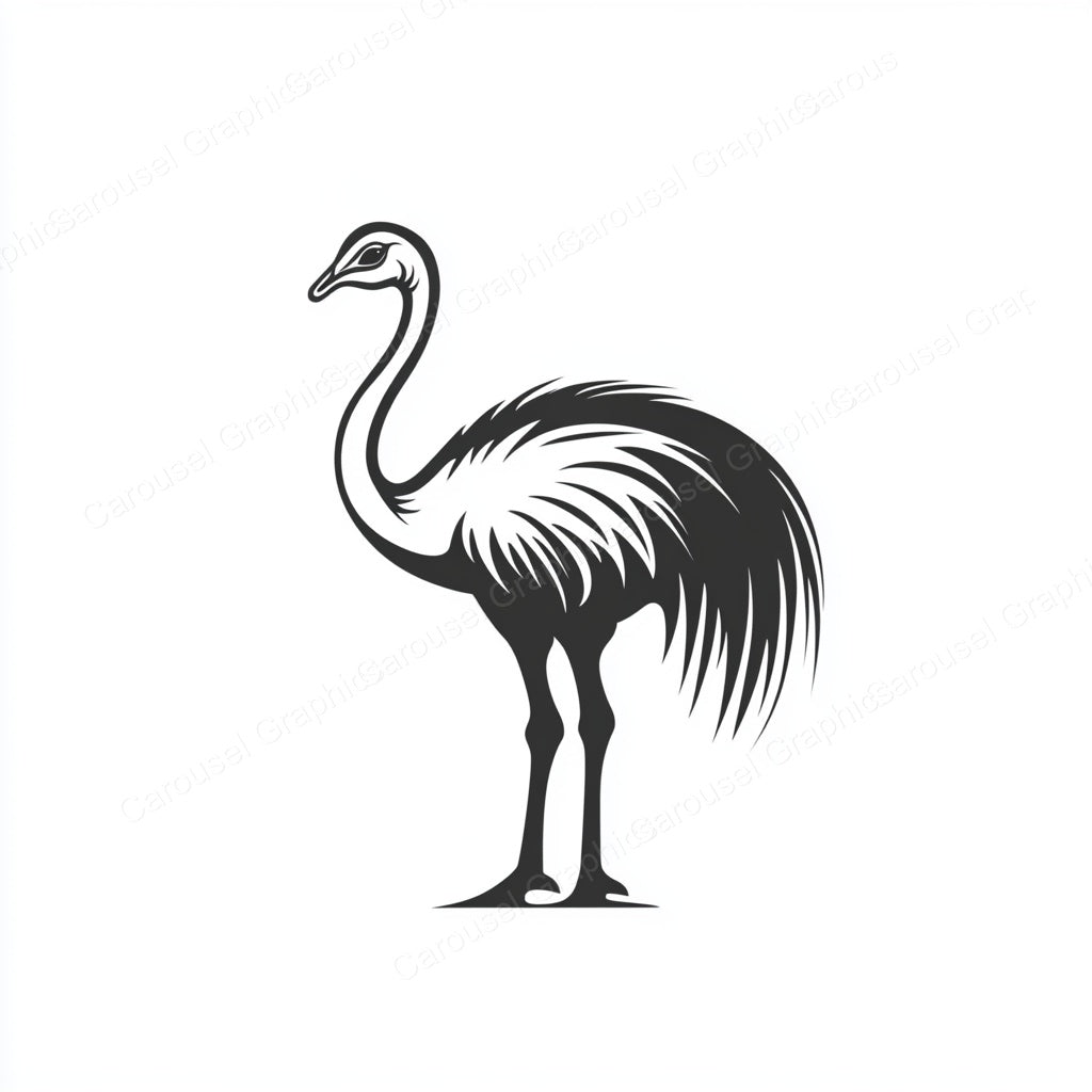 Ostrich Vector Graphic preview