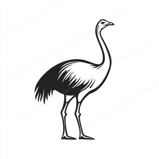 Ostrich Vector Graphic preview
