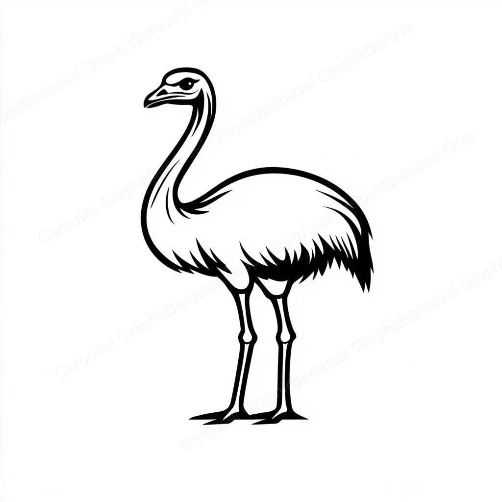 Ostrich Vector Graphic preview