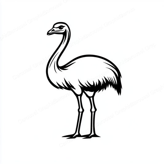 Ostrich Vector Graphic preview