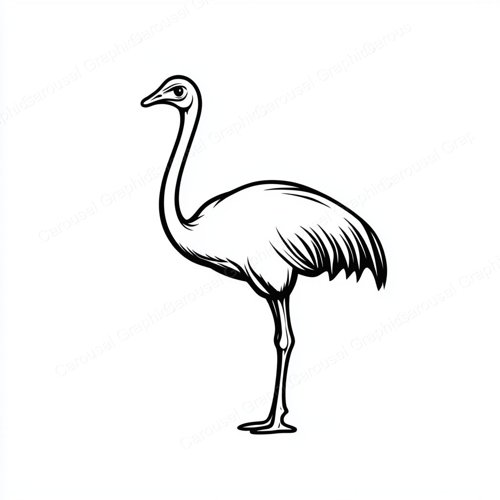 Ostrich Vector Graphic preview