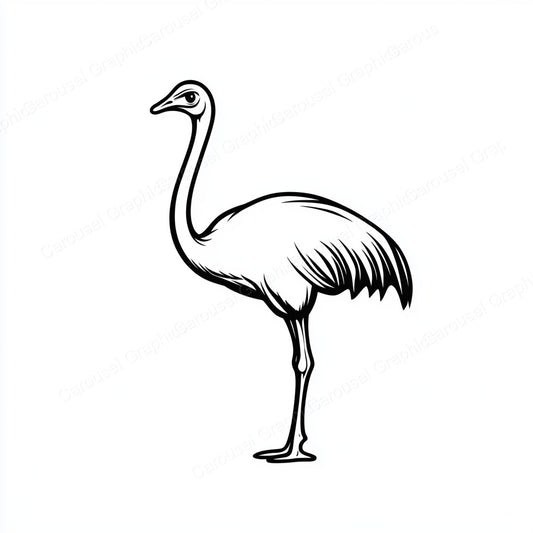 Ostrich Vector Graphic preview