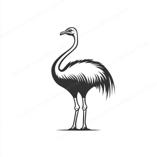 Ostrich Vector Graphic preview