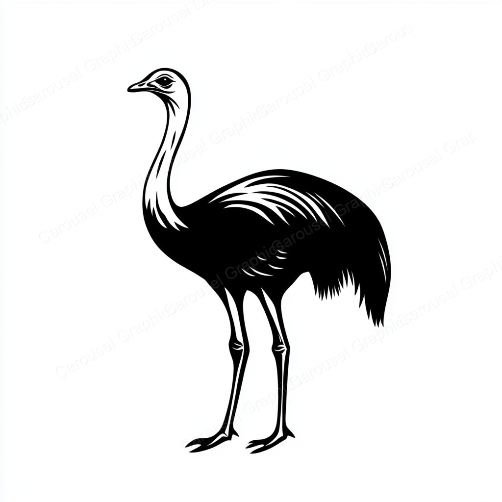 Ostrich Vector Graphic preview
