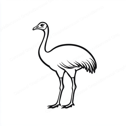 Ostrich Vector Graphic preview