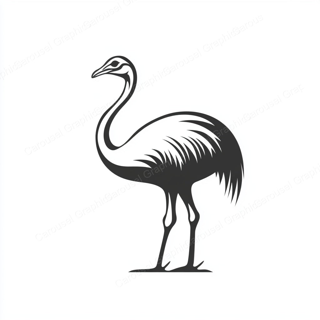 Ostrich Vector Graphic preview