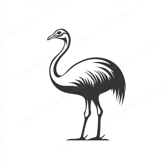 Ostrich Vector Graphic preview
