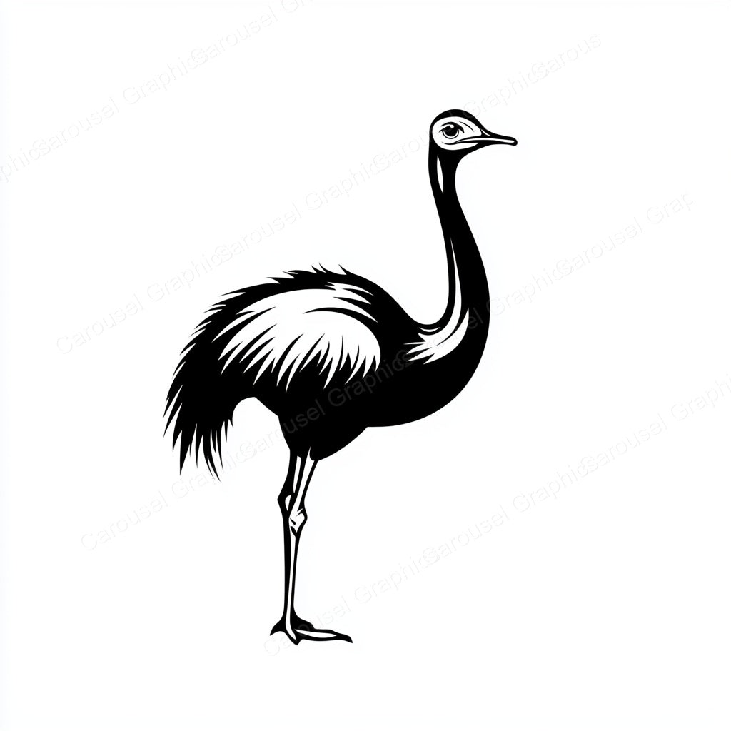 Ostrich Vector Graphic preview