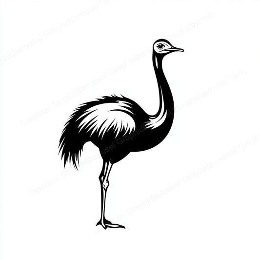 Ostrich Vector Graphic preview