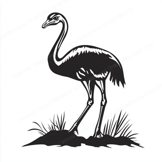 Ostrich Vector Graphic preview