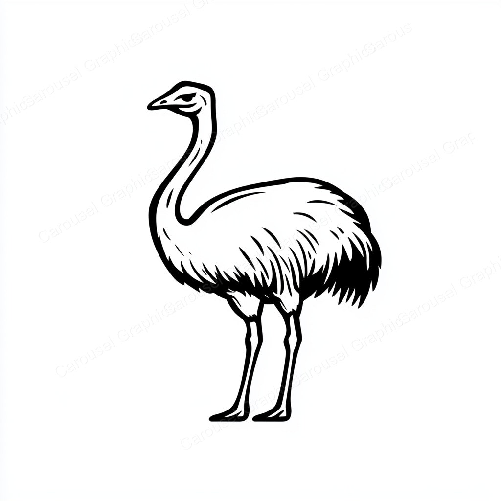 Ostrich Vector Graphic preview
