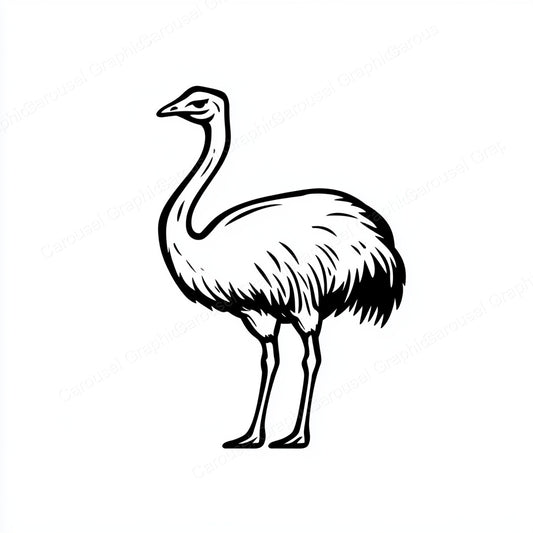 Ostrich Vector Graphic preview