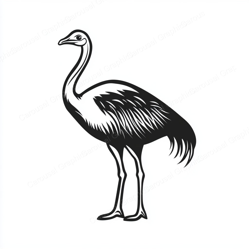 Ostrich Vector Graphic preview
