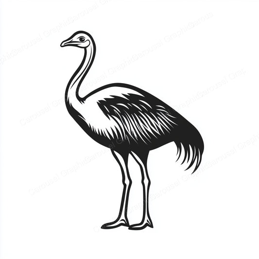 Ostrich Vector Graphic preview