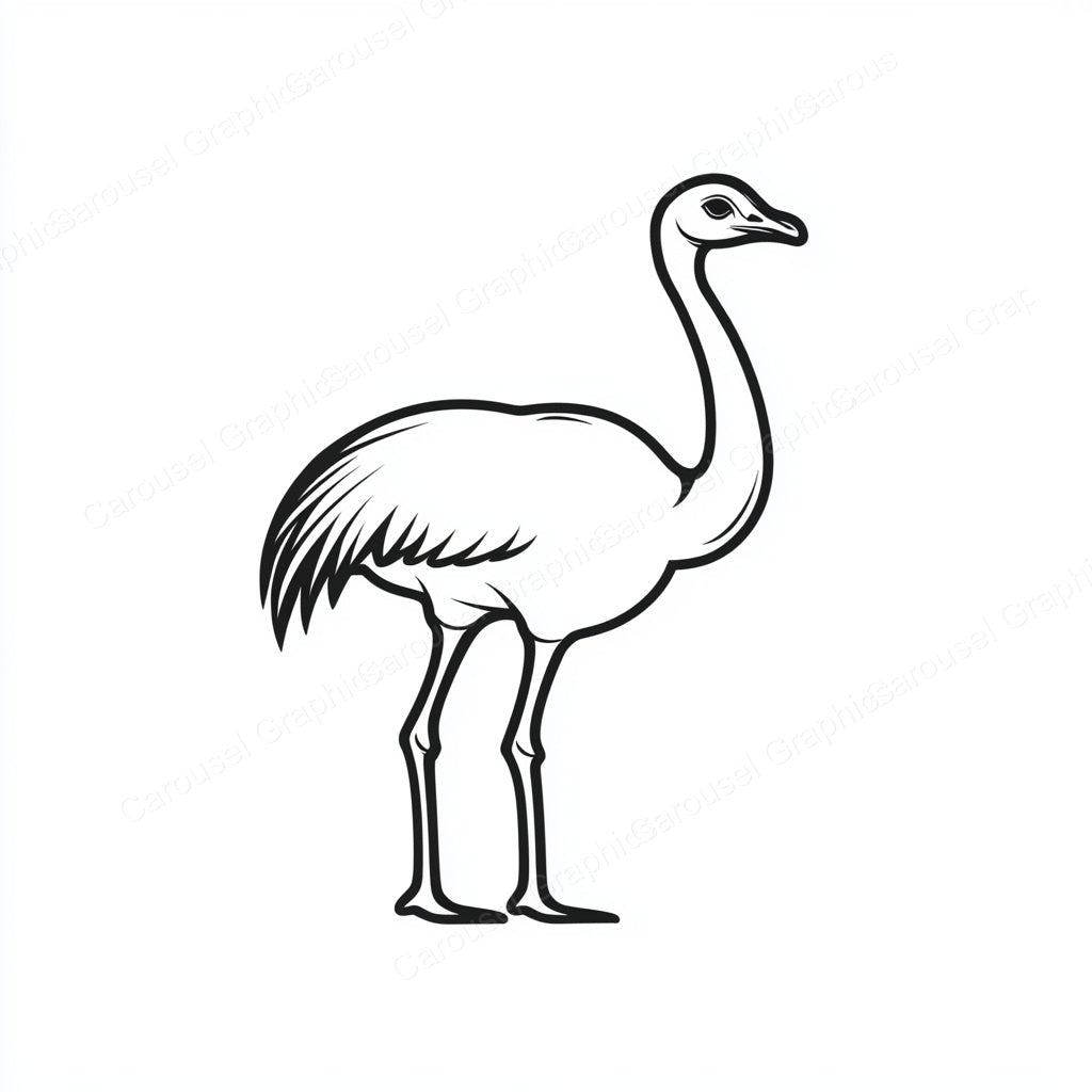 Ostrich Vector Graphic preview