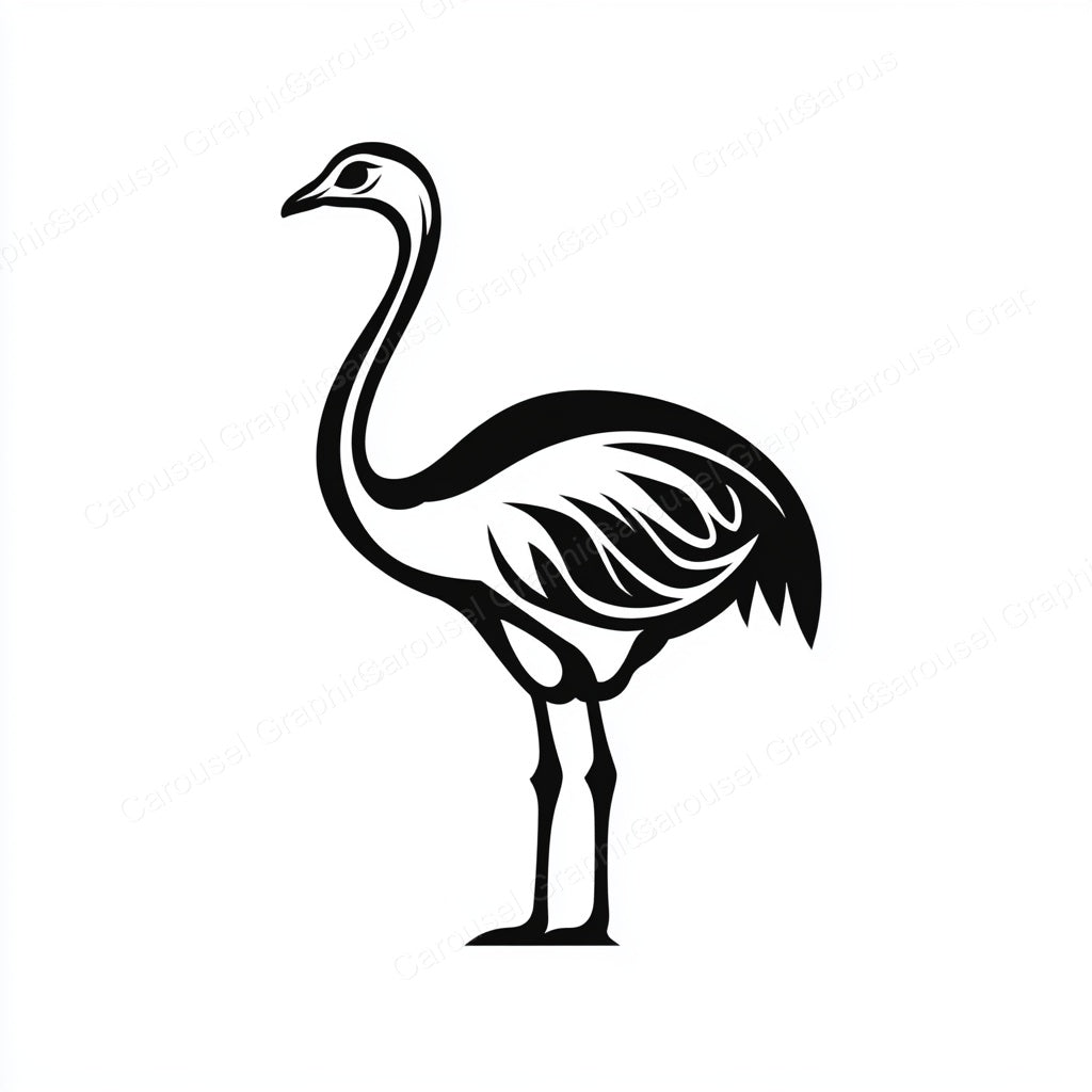 Ostrich Vector Graphic preview