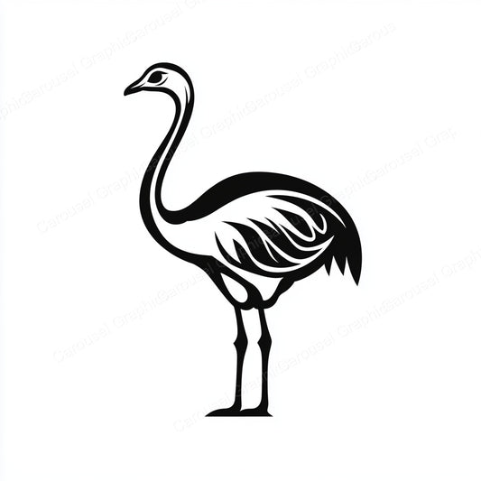 Ostrich Vector Graphic preview