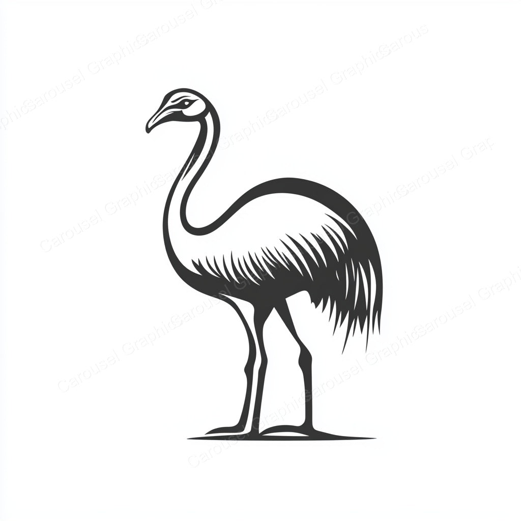 Ostrich Vector Graphic preview