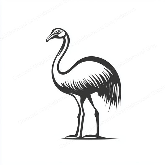 Ostrich Vector Graphic preview