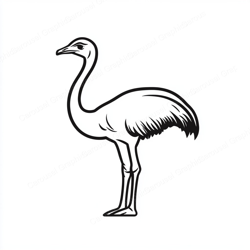 Ostrich Vector Graphic preview