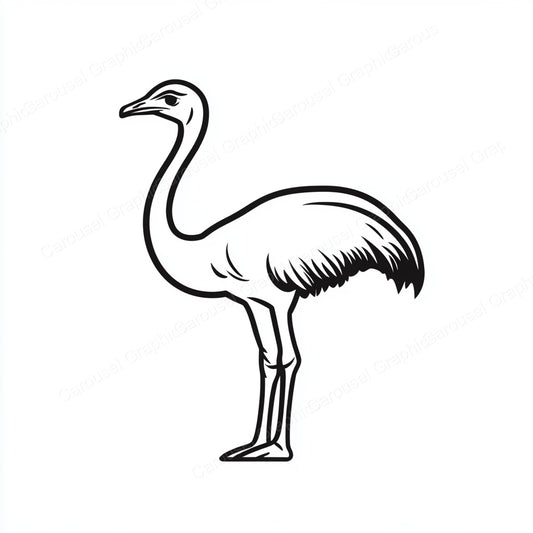 Ostrich Vector Graphic preview