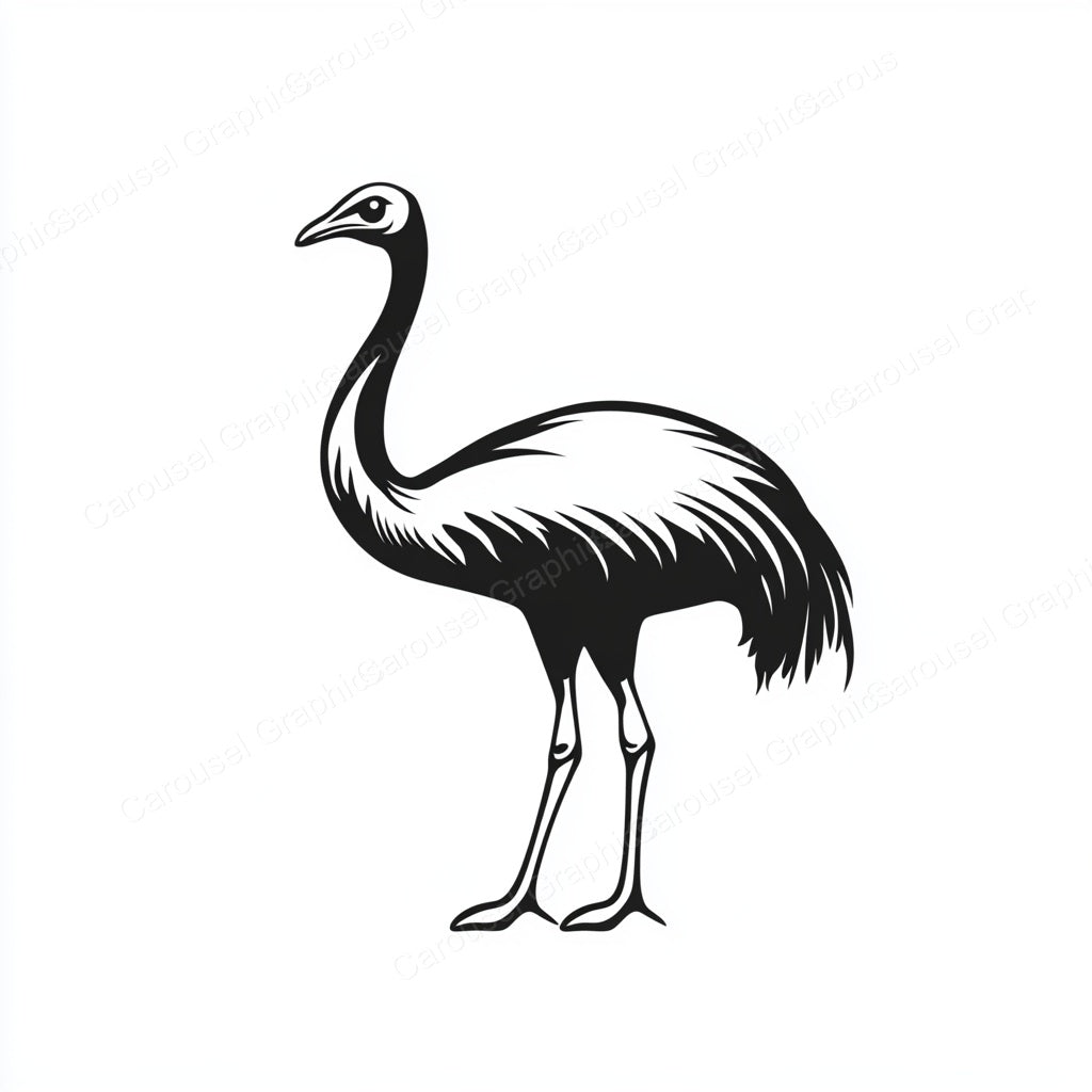 Ostrich Vector Graphic preview