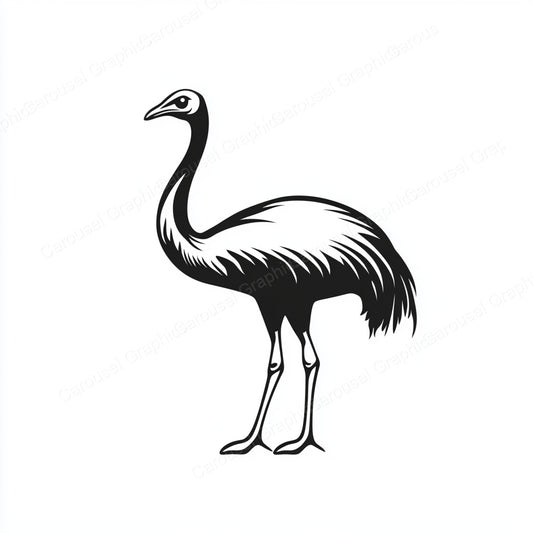 Ostrich Vector Graphic preview