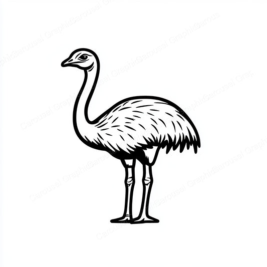 Ostrich Vector Graphic preview