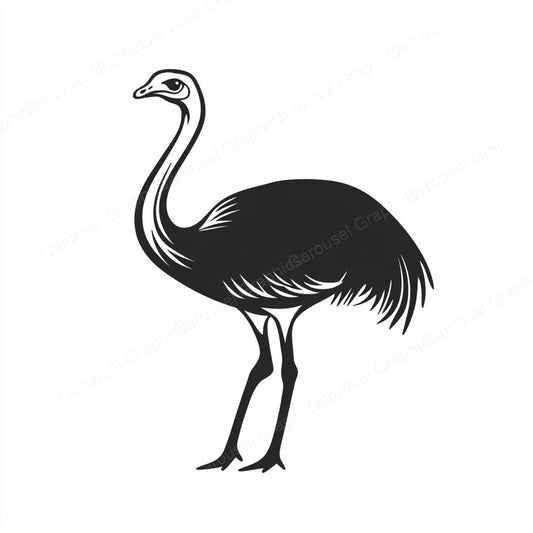 Ostrich Vector Graphic preview