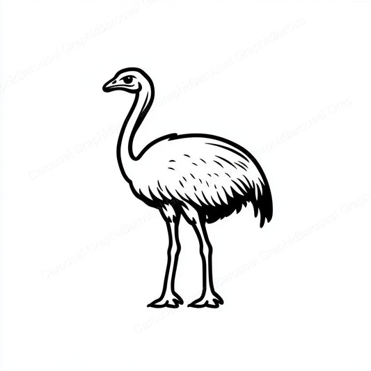 Ostrich Vector Graphic preview
