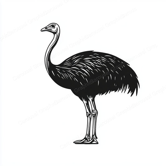 Ostrich Vector Graphic preview