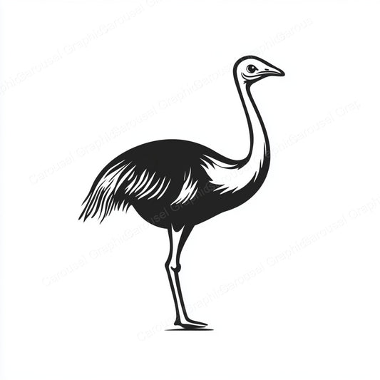 Ostrich Vector Graphic preview