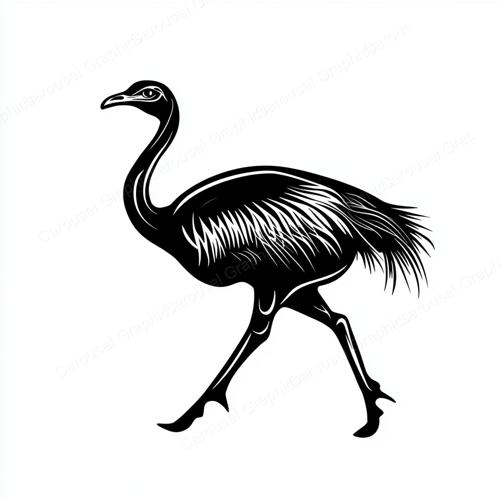 Ostrich Vector Graphic preview