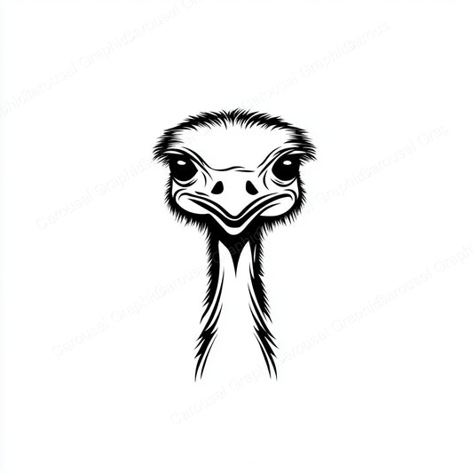 Ostrich Vector Graphic preview