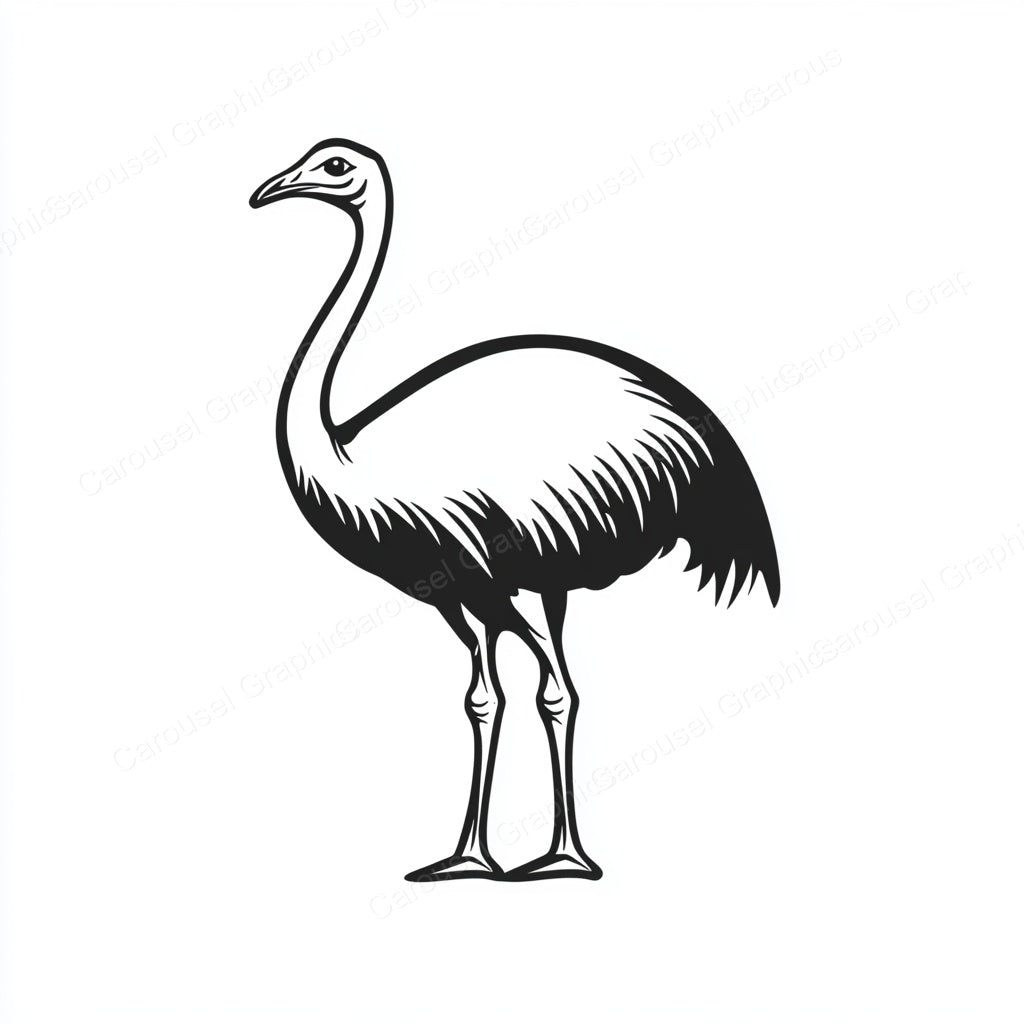 Ostrich Vector Graphic preview