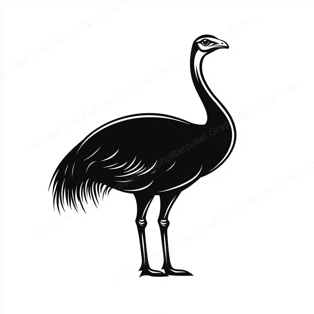 Ostrich Vector Graphic preview