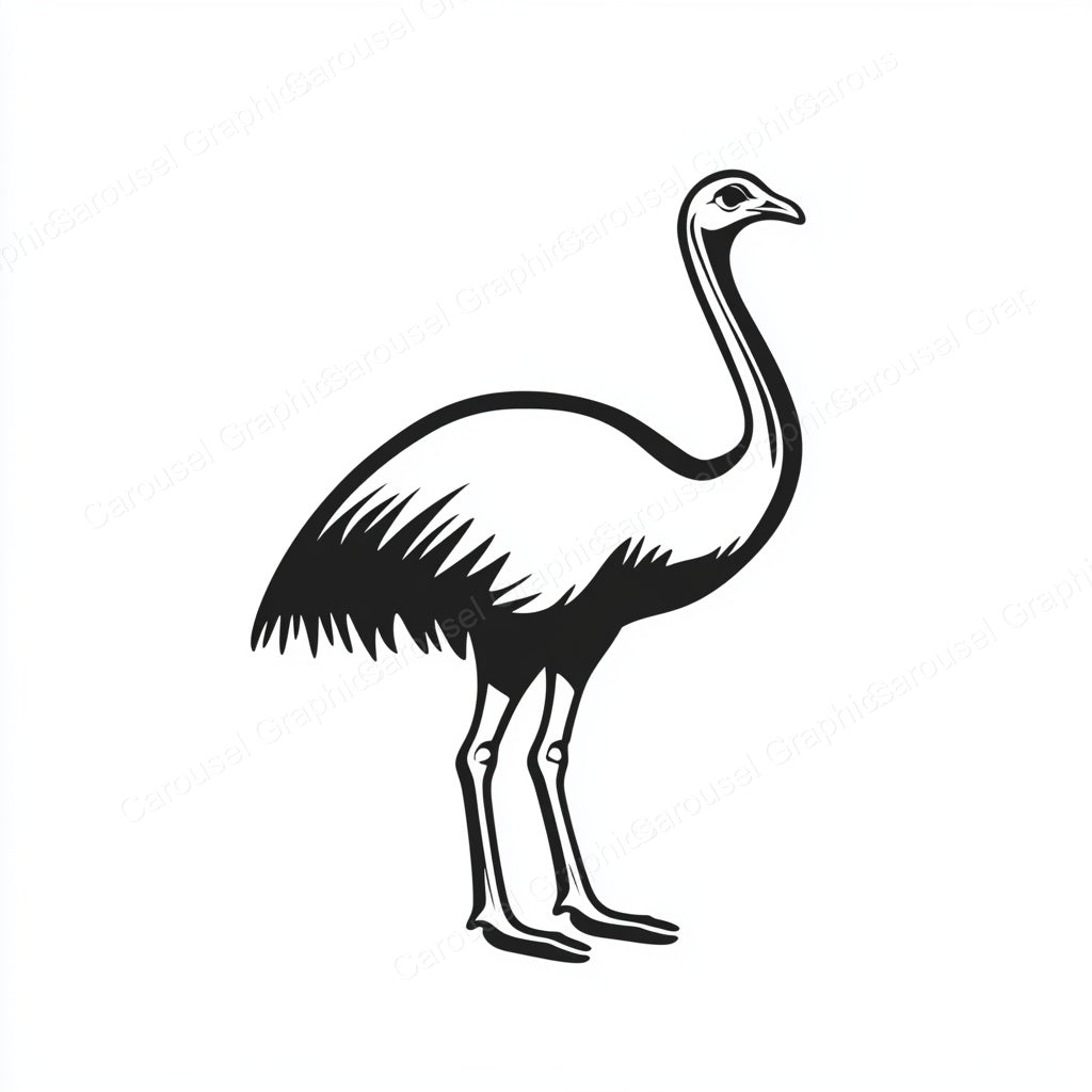 Ostrich Vector Graphic preview