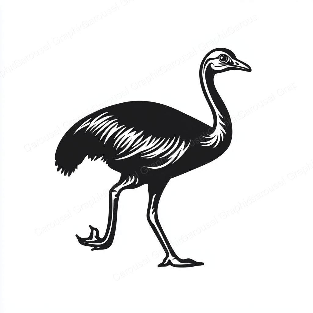 Ostrich Vector Graphic preview